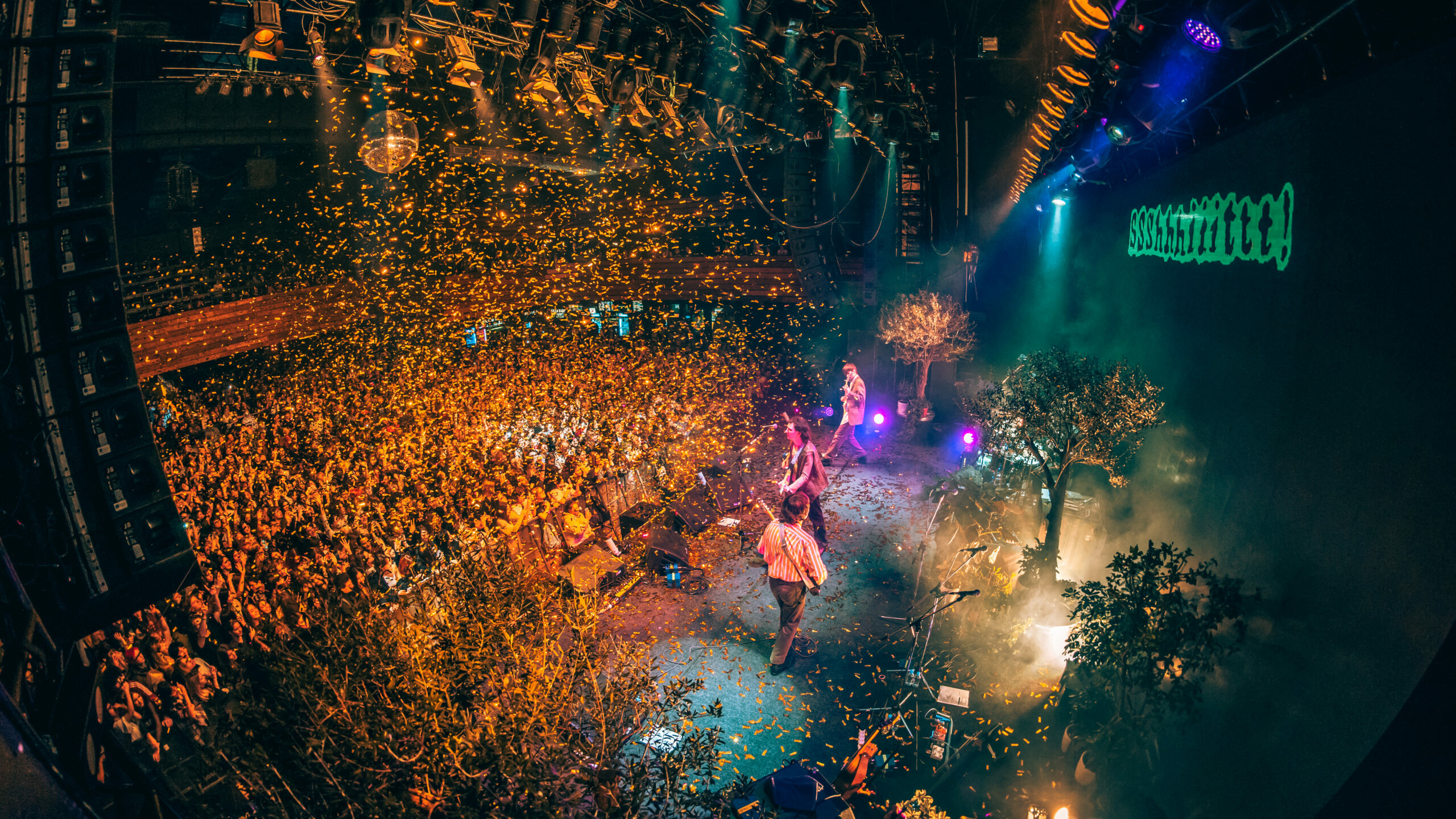 В августе Петербуржцев ждут «Отличные вечера на заливе»