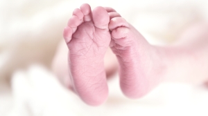 Четырехмесячного младенца нашли мертвым в детской кроватке в Тихвине