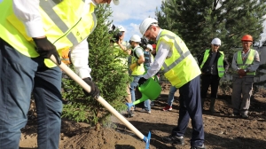 У готовой на 78% «СКА Арены» высадили первые деревья