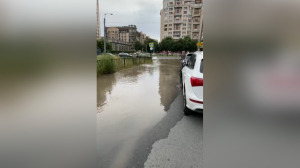 В Петербурге сотрудник ЖКХ вычерпывал воду из лужи для удобства горожан