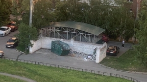 Крысы и вороны поселились рядом переполненными мусорными баками в Приморском районе
