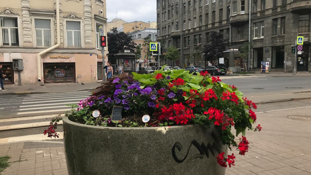 На площади Тургенева местные жители борются с цветочными вандалами с помощью табличек