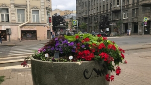 Сажать растения в Петербурге прекратят с 1 ноября