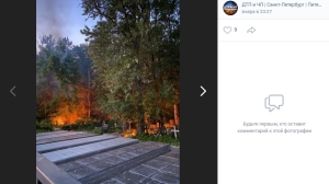 В Петербурге на Серафимском кладбище загорелся тополиный пух