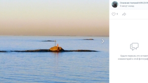 Тюлень Уранчик из Петербурга доплыл до острова в Финляндии