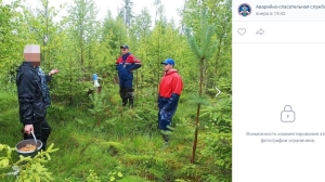 В Ленобласти спасатели вывели из леса заблудившихся грибников