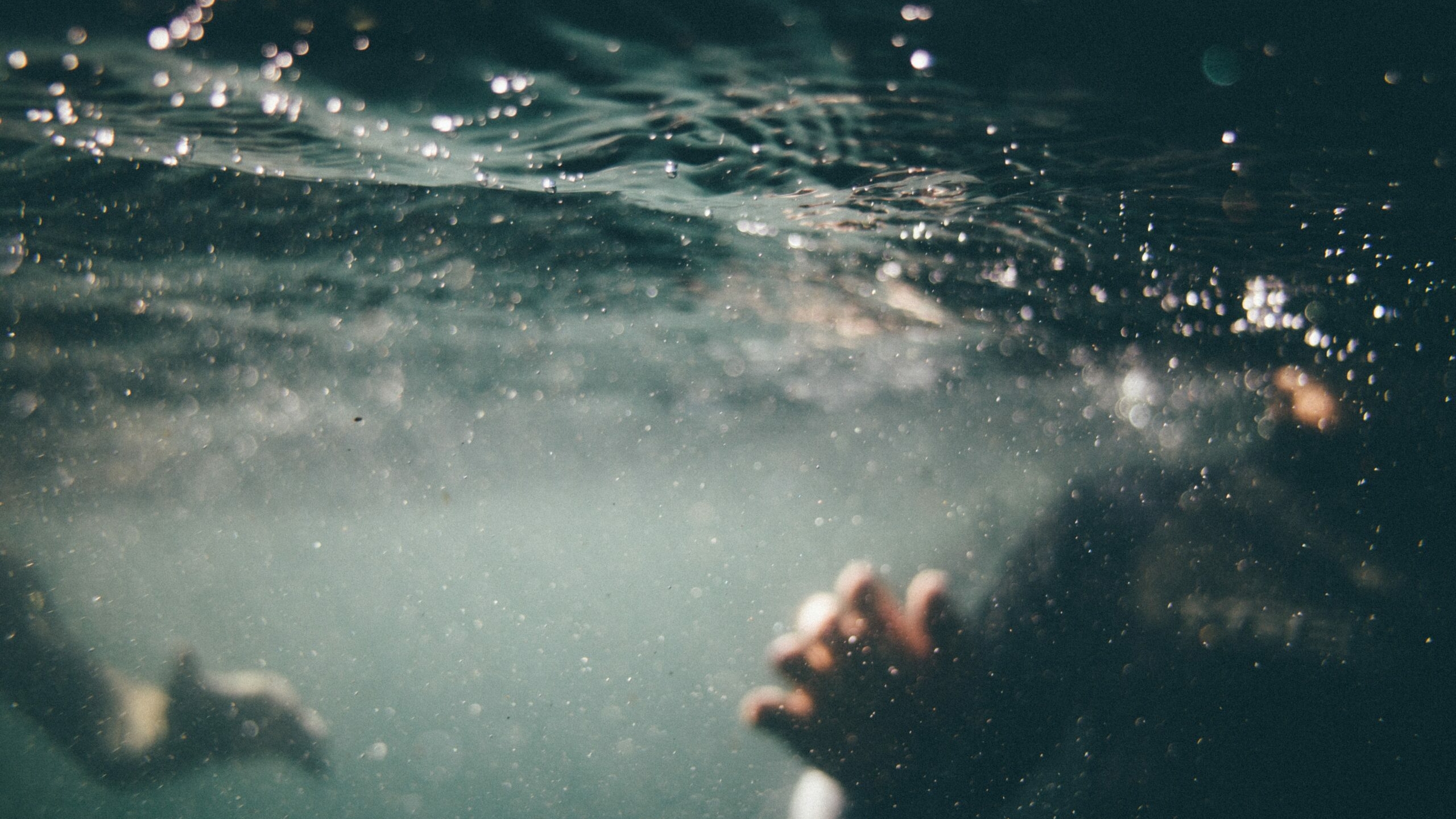 Смерть петербургского дайвера в акватории бухты Прибойной потребовала следственной проверки