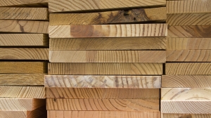 В России началась популяризация деревянного строительства