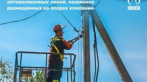 Компания ЛОЭСК демонтирует незаконные  оптоволоконные линии с опор ЛЭП в Ленобласти