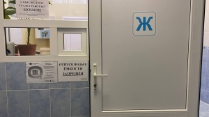 Чиновники запросили 420 млн рублей на безопасность петербургских туалетов и ремонт фонтанов
