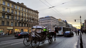 Петербуржцы потребовали запретить кареты в центре города