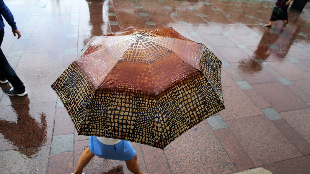 В Петербурге установлен «оранжевый» уровень опасности из-за сильного дождя
