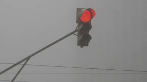 В МЧС предупредили жителей Ленобласти о густом тумане на предстоящих выходных