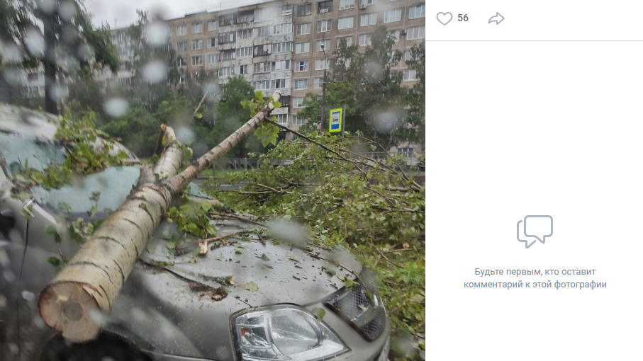Последствия непогоды в Петербурге начали устранять по поручению правительства города