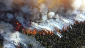 Спасатели продолжают тушить растущий лесной пожар на Ямале