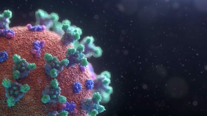 Ученые КНР создали смертельный на 100 процентов коронавирус: штамм «киллер»