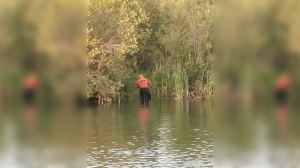 Мужчина утонул во время купания в карьере у поселка Назия