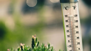 Синоптик Леус рассказал о новом суточном рекорде максимальной температуры воздуха в Петербурге