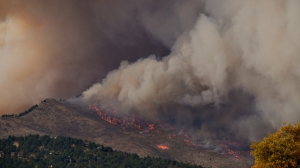 В Рязанской области спасатели эвакуируют целый поселок из-за лесного пожара