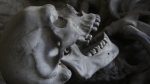 Австралийские ученые воссоздали по осколкам черепа лицо женщины, жившей 45 тысяч лет назад