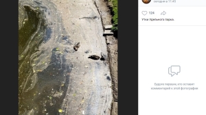 В Удельном парке обнаружили мертвых уток в 30-градусную жару