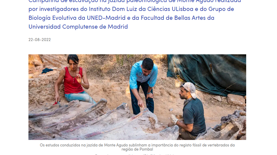 В Португалии палеонтологи обнаружили самый большой скелет динозавра