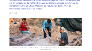 В Португалии палеонтологи обнаружили самый большой скелет динозавра