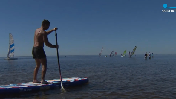 Жителям Петербурга объяснили, как овладеть водными видами спорта