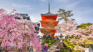 В Японии для туристов могут отменить три значительных ограничения на посещение страны