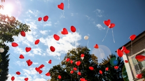 Петербуржцев попросили не запускать воздушные шары в День знаний