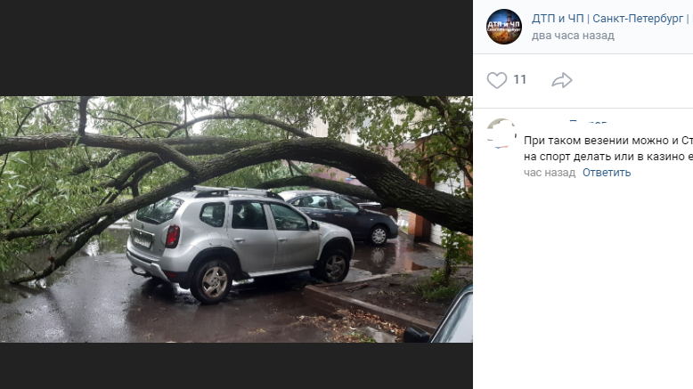 Ураган повалил почти 300 деревьев в Петербурге, комитет по благоустройству убрал каждое десятое
