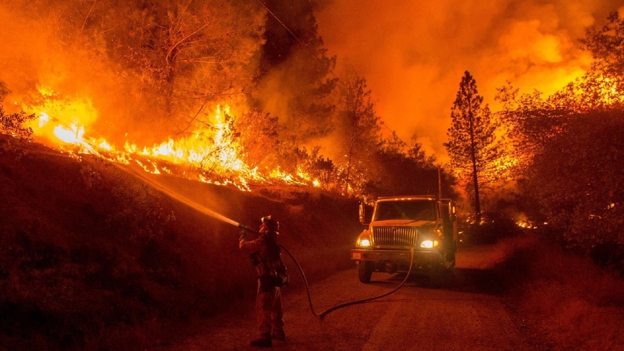 МегаФон помог предотвратить половину пожаров в Ленобласти