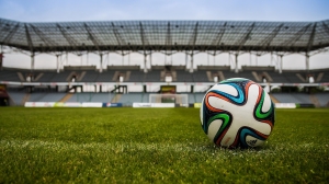 В Петербурге 19 ноября пройдет матч между сборными по футболу России и Боснии и Герцеговины