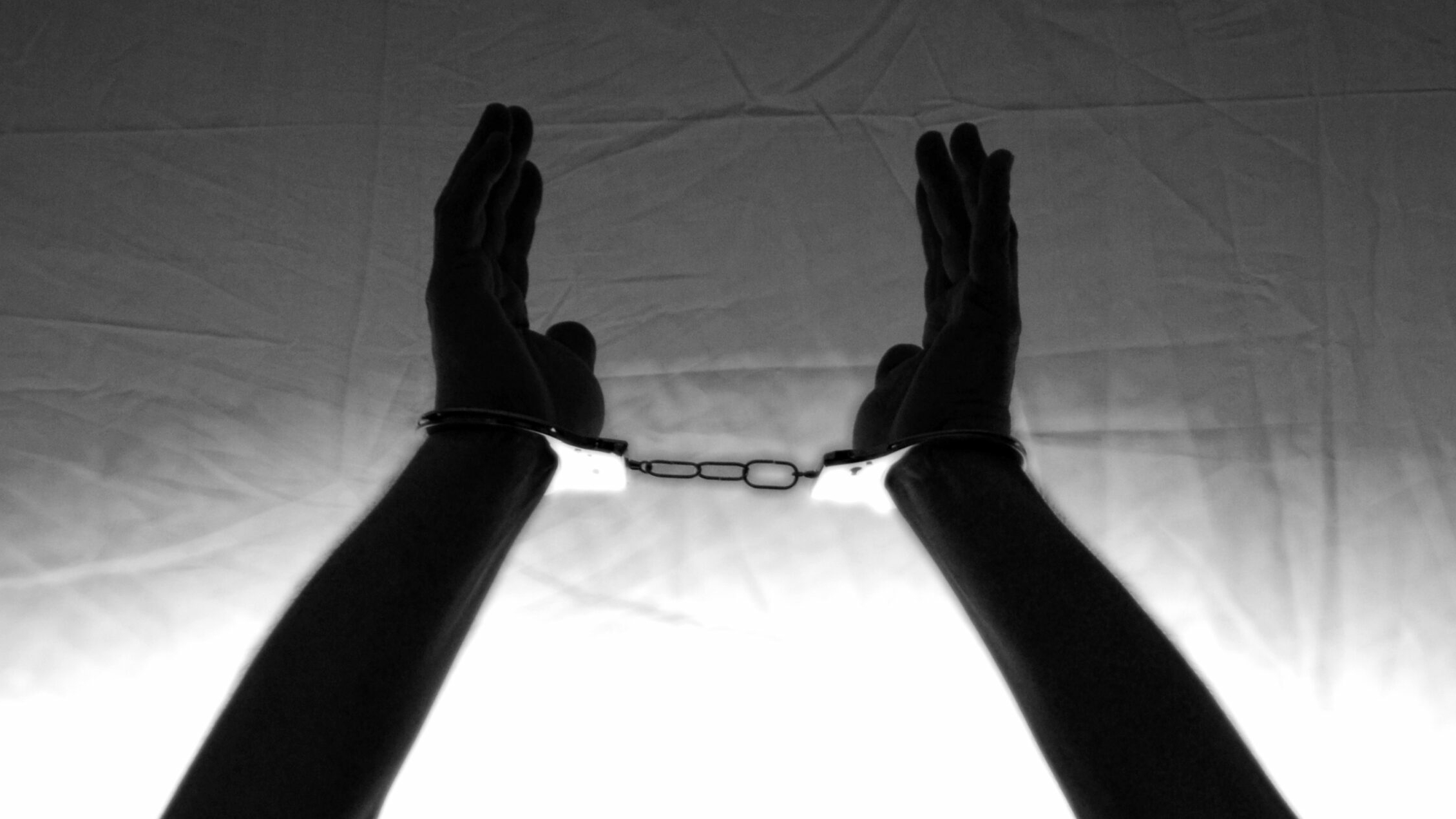 В Гатчина полицейские задержали работника детского учреждения за распространение порнографических материалов с детьми