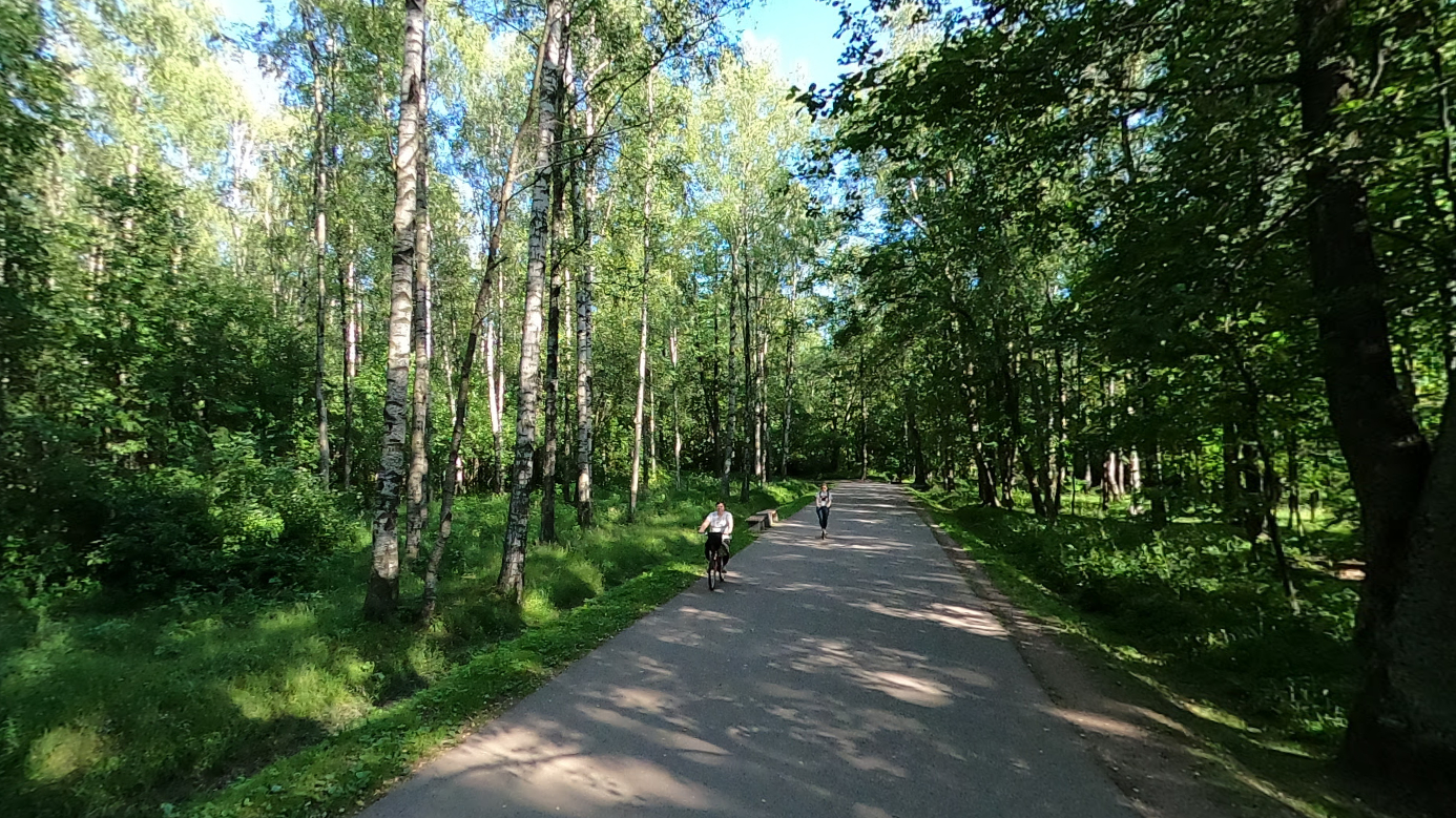 ЗакС Петербурга увеличил площадь охраняемых городом парков на 300 га — но Удельный парк это обошло стороной
