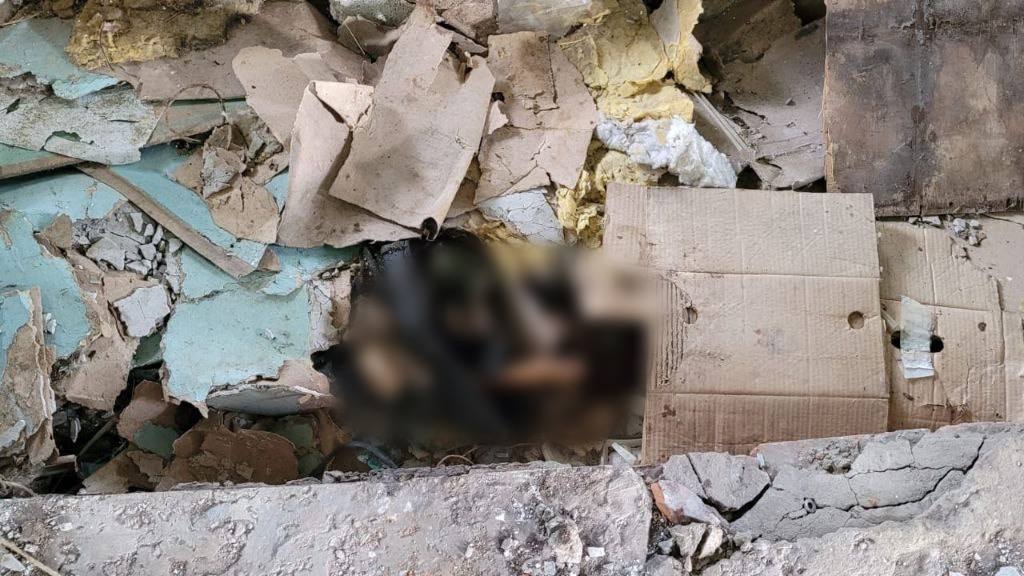 Полицейский нашел полусгнивший труп мужчины в заброшенном домике в Шушарах