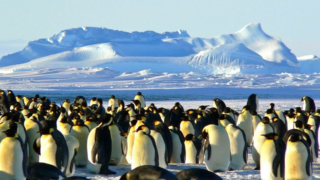 Ученые нашли способ повторно заморозить Северный и Южный полюса