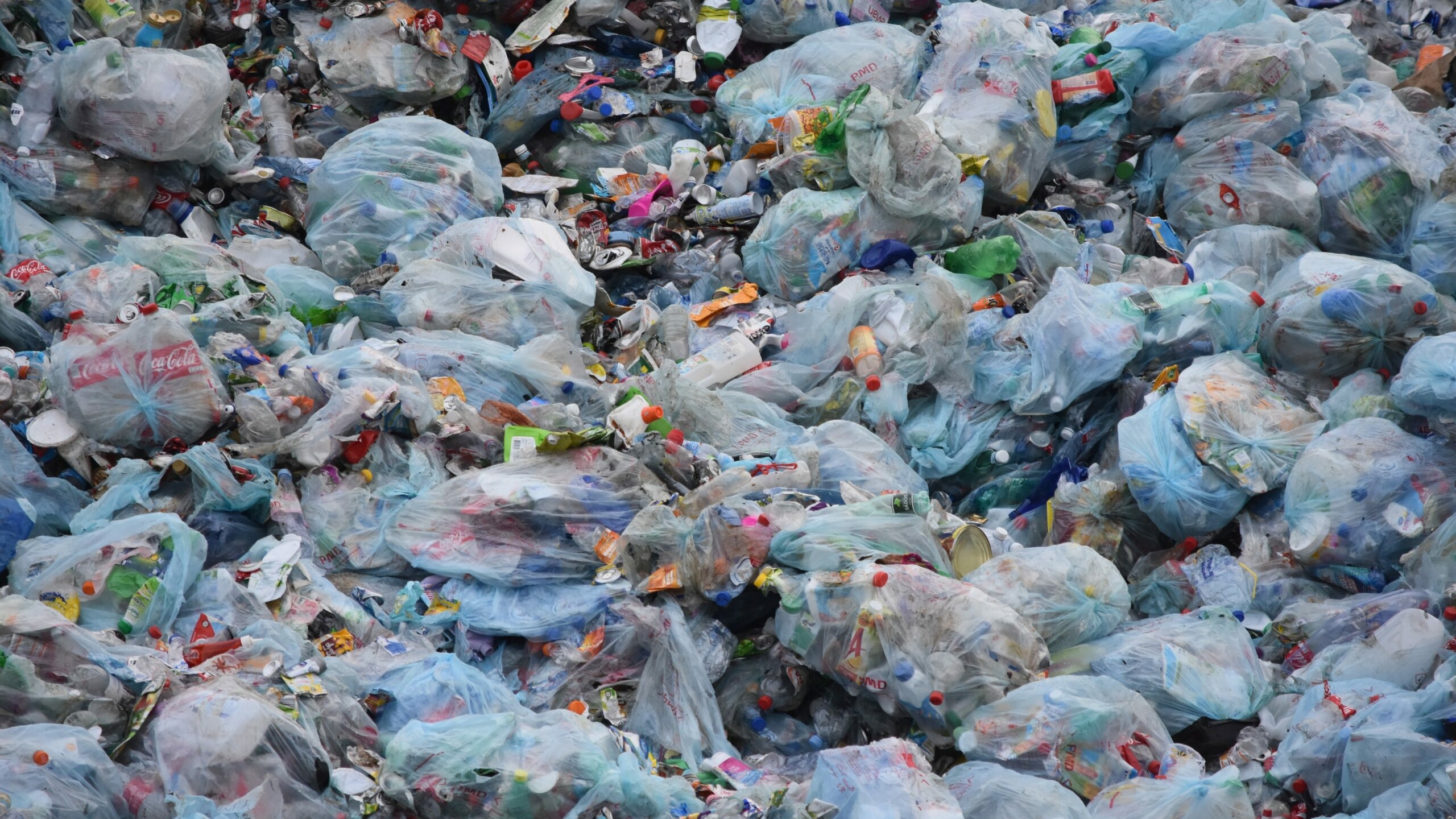 Более 50% россиян занимаются сортировкой мусора