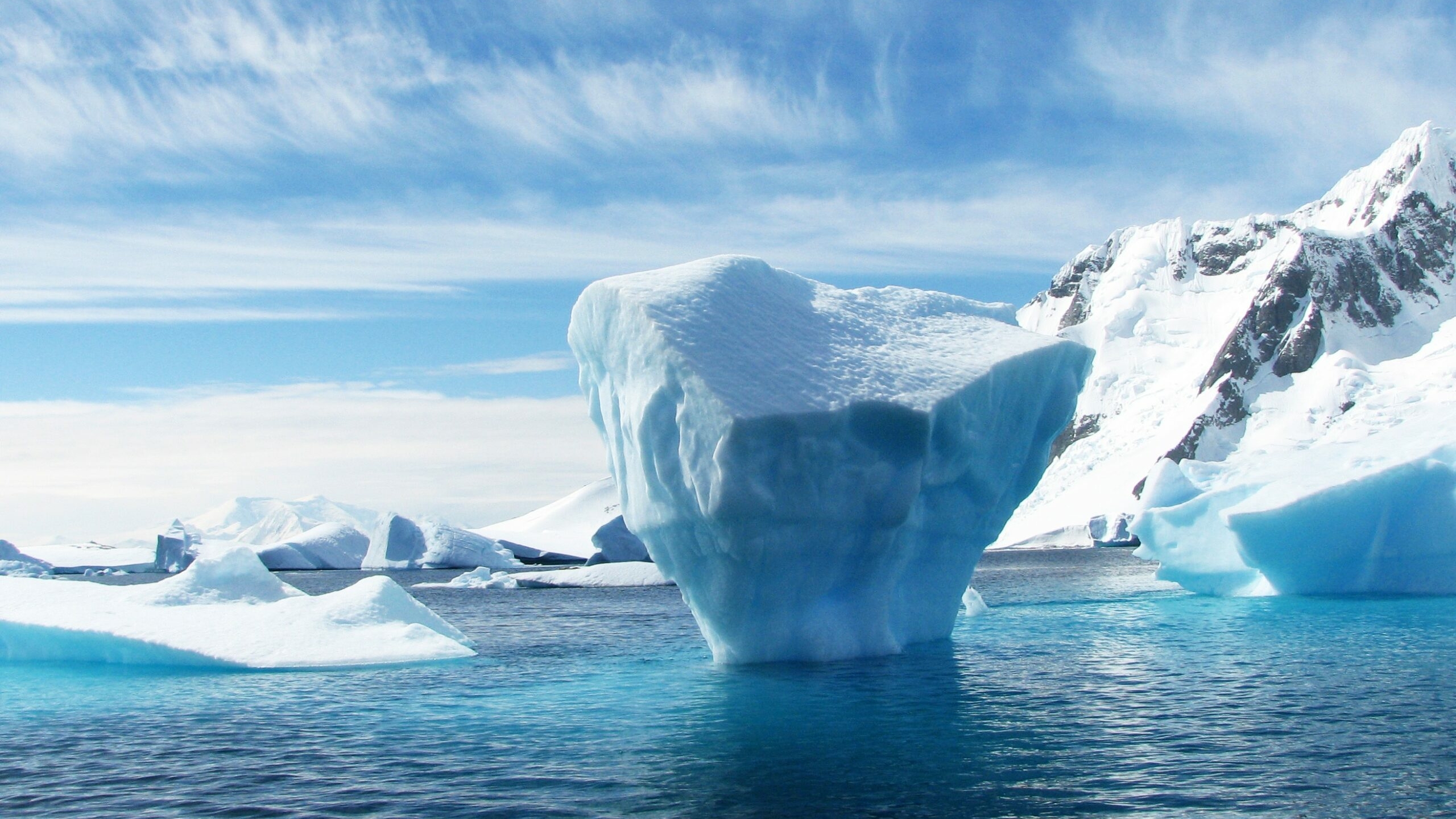 Айсберг размером с два Петербурга начал дрейфовать к берегам Антарктиды