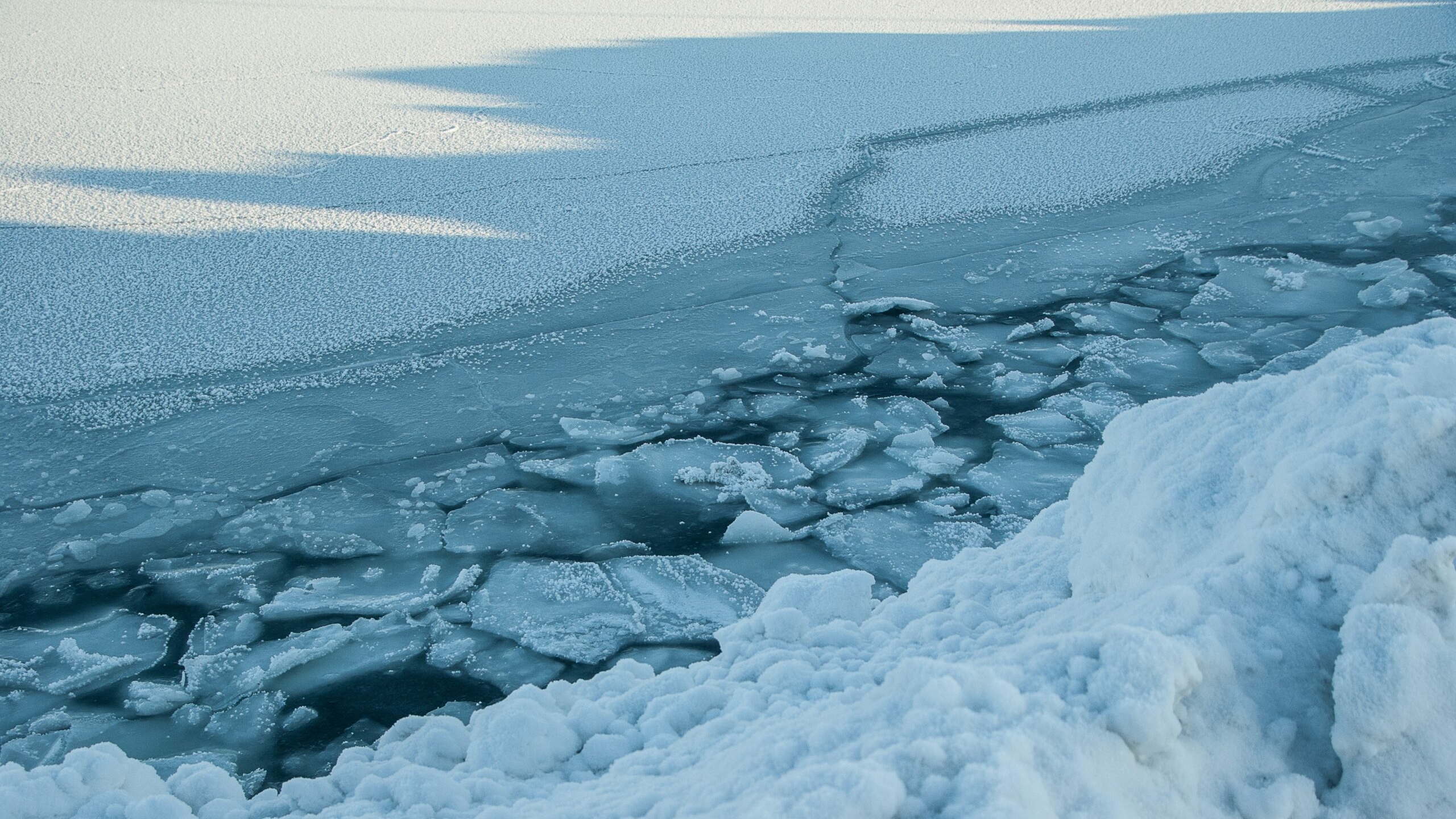 Плавучий отель «Северный полюс» позволит изучать Арктику российским ученым с комфортом