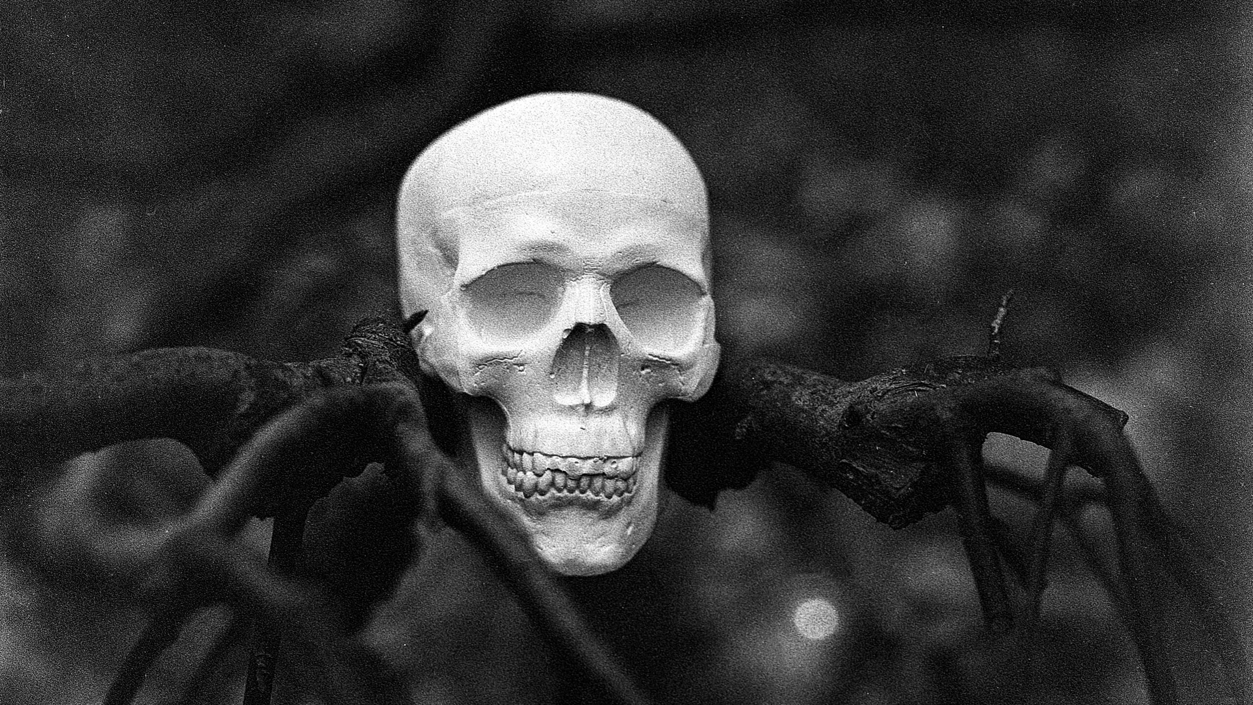 Человеческий скелет в одежде обнаружили в лесу на юге Петербурга