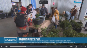 Петербуржцы бесплатно получили экзотические растения в Севкабеле