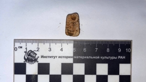 Археологи из Петербурга раскопали в Воронежской области 40-тысячелетнюю подвеску из раковины моллюска