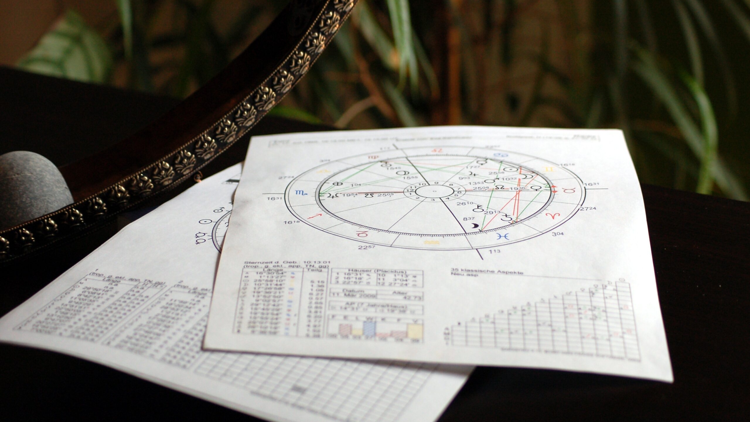 Петербуржцам объяснили, можно ли посадить астролога за неверный прогноз