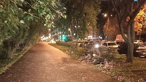 За ночь свалил 13 деревьев: в Комблаге рассказали, как убирали последствия штормового ветра