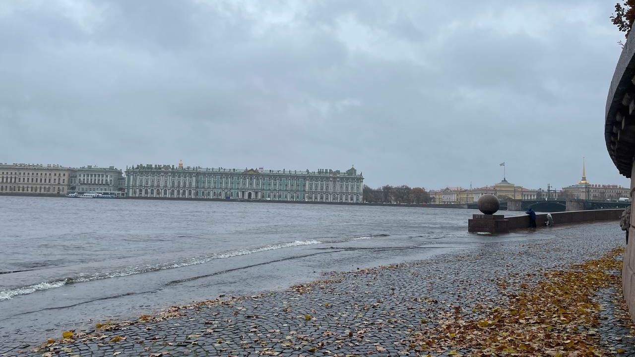 Теплоходы продолжают возить петербуржцев, несмотря штормовой ветер и подъем воды в Неве