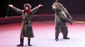 В новогодние праздники на петербургской арене представят постановку Большого Московского Цирка