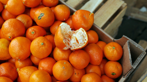 Врач раскрыла петербуржцам полезные свойства мандаринов