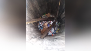 Спасатели Ленобласти вызволили из мусорного контейнера «хорошего мальчика»