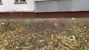 В Москве вслед за Петербургом нашли куски женского расчлененного тела